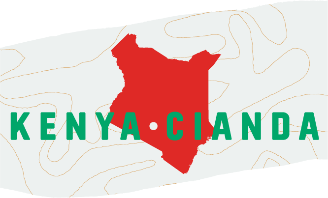 -25% Kenya Cianda Συσκευασμένος 200γρ