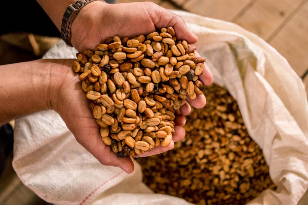 Man holds coffee beans