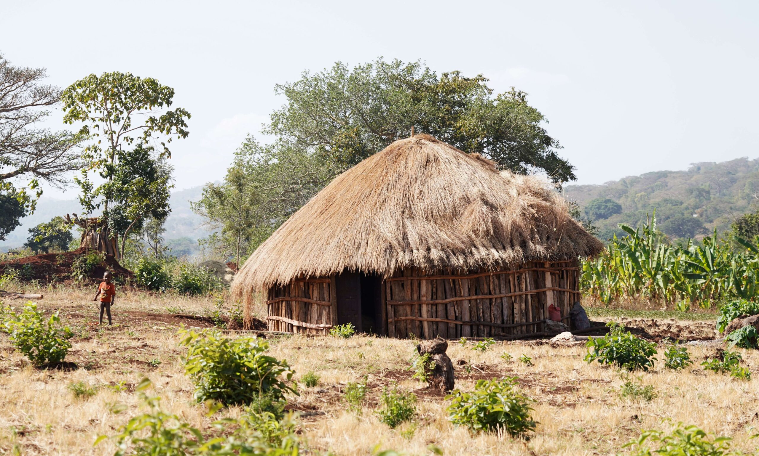Δοκιμάζοντας τον Single Estate Ethiopia Guji μοιράζεσαι το όραμα ενός καλύτερου κόσμου